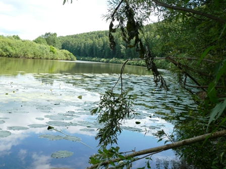 Река Немда, Кировская область